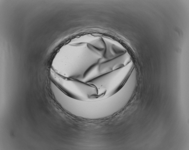 X0000113321496200910131117