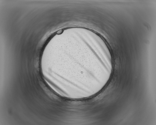 X0000113321499200910131117