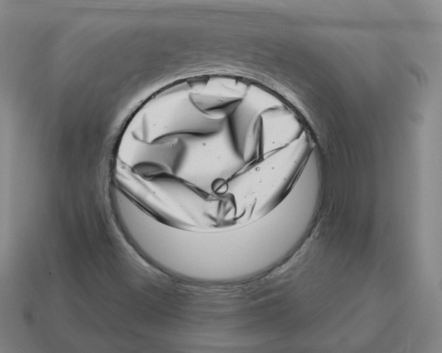 X0000113321500200910131117