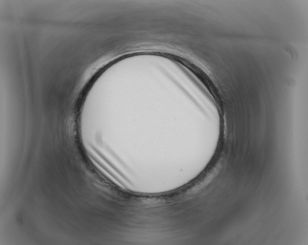 X0000113321501200910131117