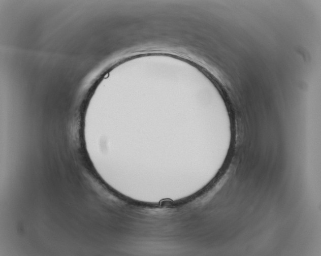 X0000113321502200910131117