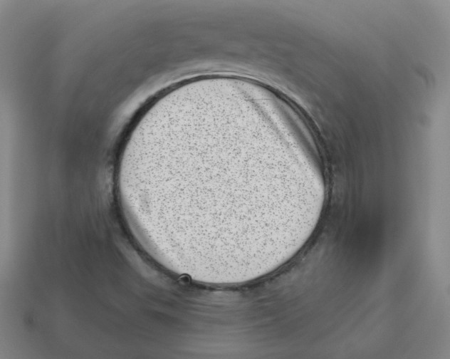 X0000113321503200910131117