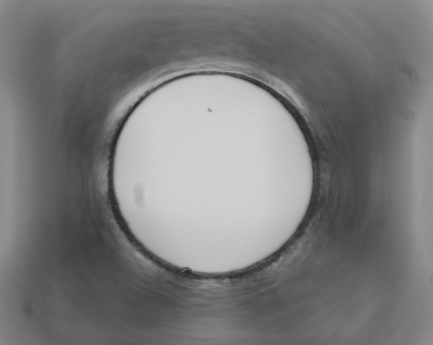 X0000113321504200910131117