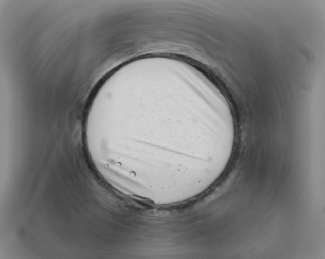 X0000113321505200910131117