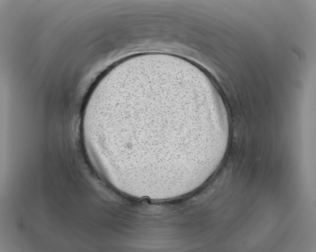 X0000113321507200910131117