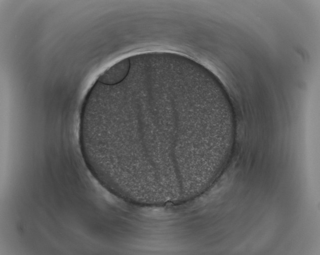 X0000113321508200910131117