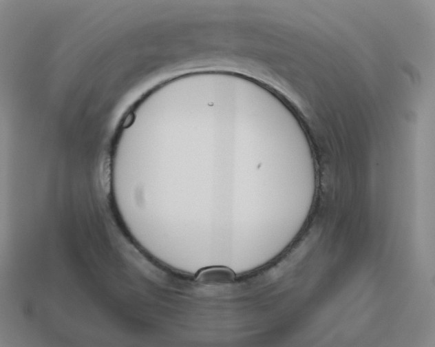 X0000113321510200910131117