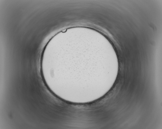 X0000113321512200910131117