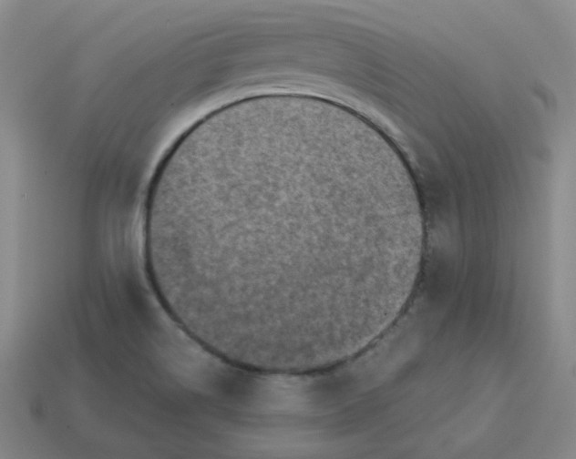 X0000113321514200910131117