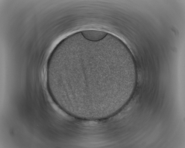 X0000113321515200910131117