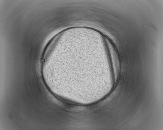 X0000113321517200910131118