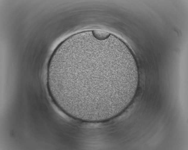 X0000113321519200910131118