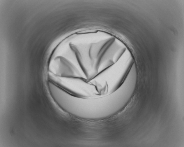 X0000113321520200910131118