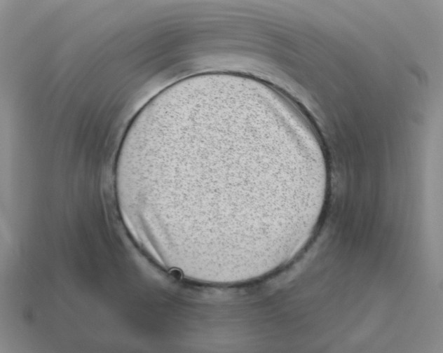 X0000113321521200910131118