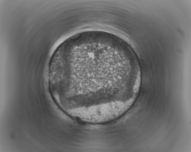 X0000113321522200910131118