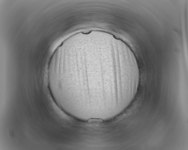 X0000113321524200910131118