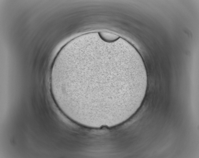 X0000113321526200910131118