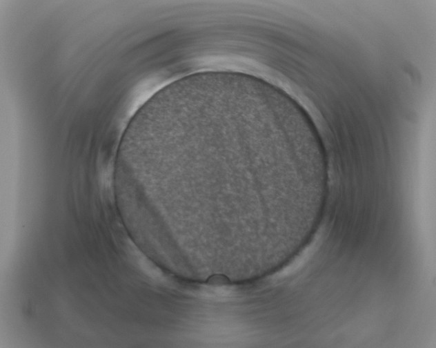 X0000113321529200910131118