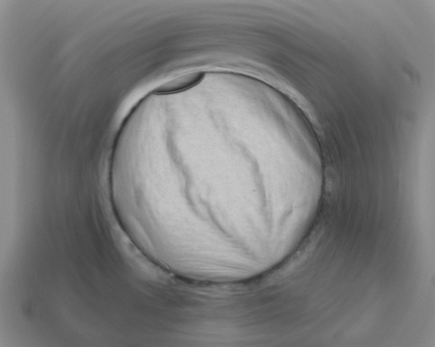 X0000113321530200910131118