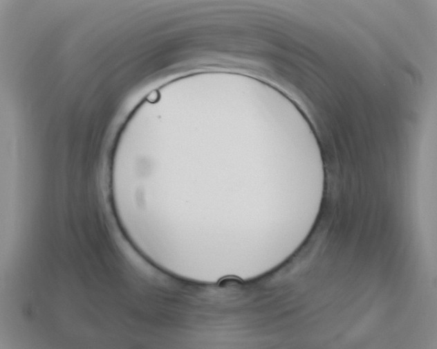 X0000113321531200910131118