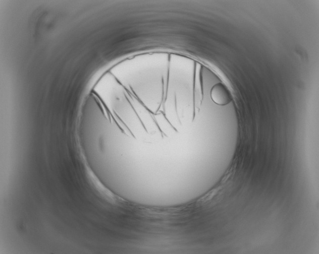 X0000113321532200910131118