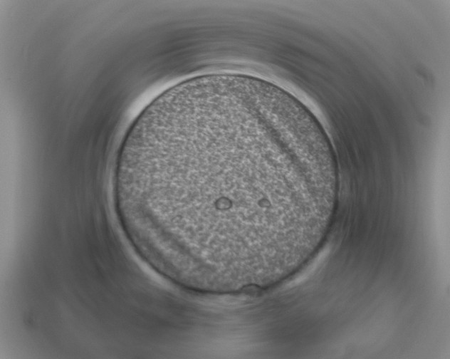 X0000113321533200910131118