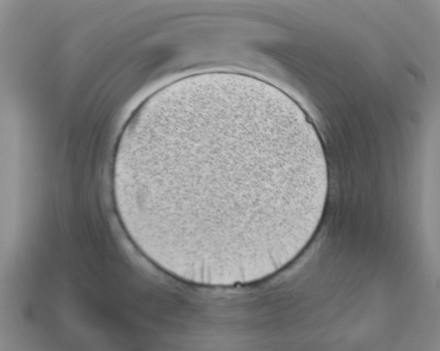 X0000113321534200910131118