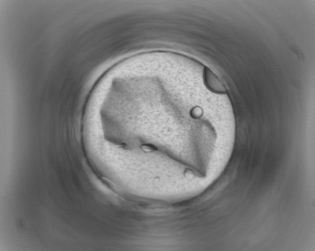 X0000113321535200910131118