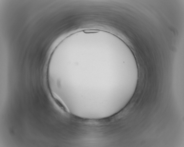 X0000113321536200910131118