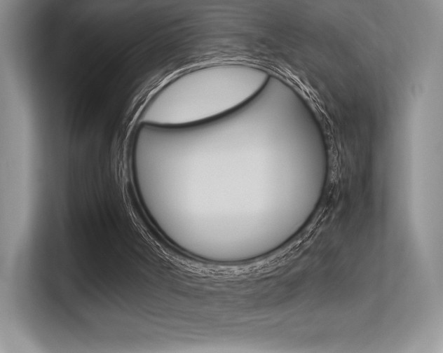 X0000113330002200909141016