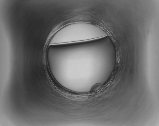 X0000113330004200909141016