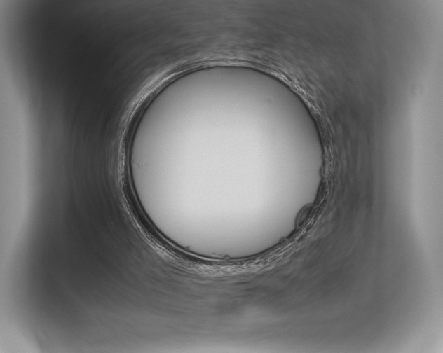 X0000113330005200909141016