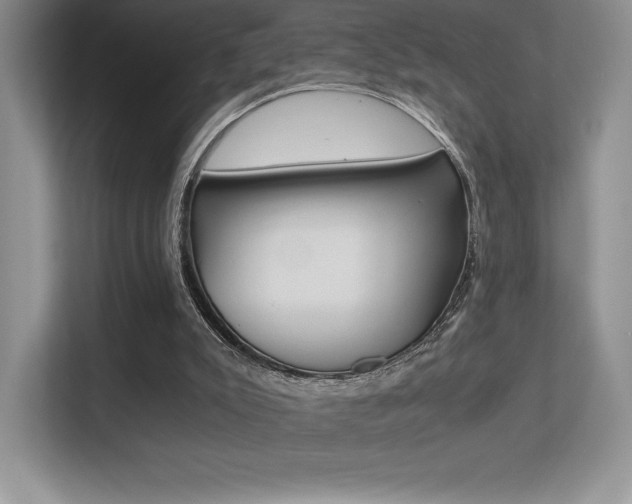 X0000113330007200909141016