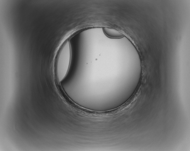 X0000113330008200909141016