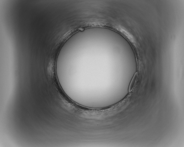 X0000113330009200909141016