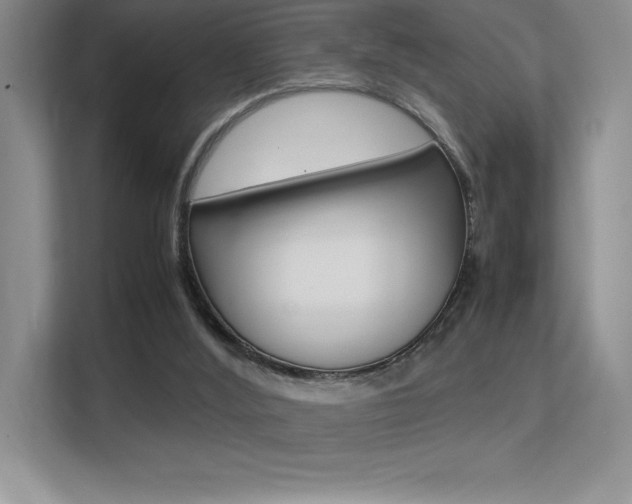 X0000113330012200909141016