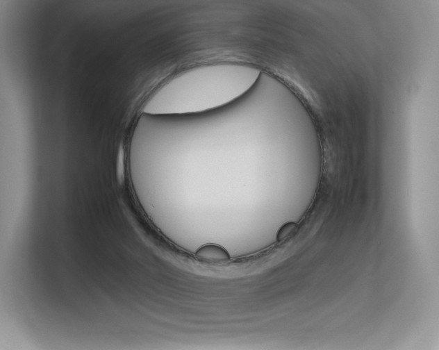 X0000113330014200909141016