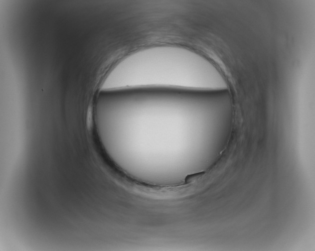 X0000113330019200909141016