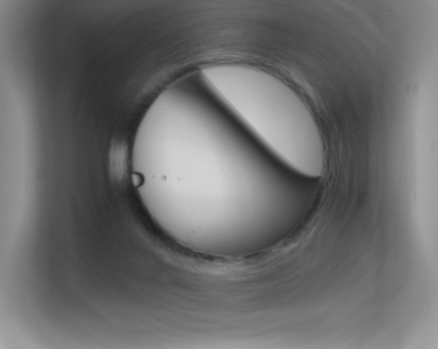 X0000113330024200909141016
