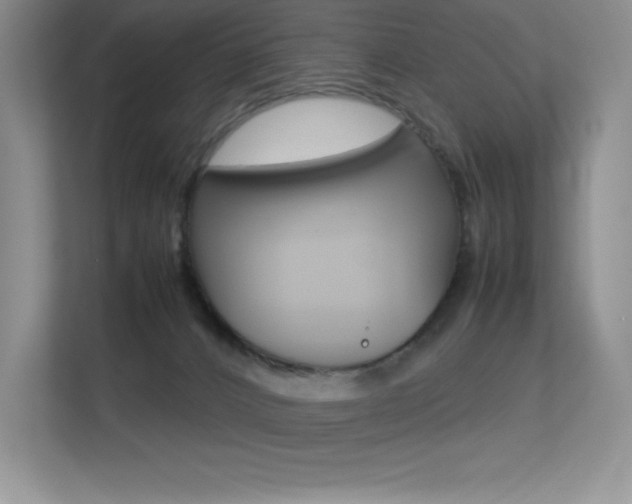 X0000113330032200909141016