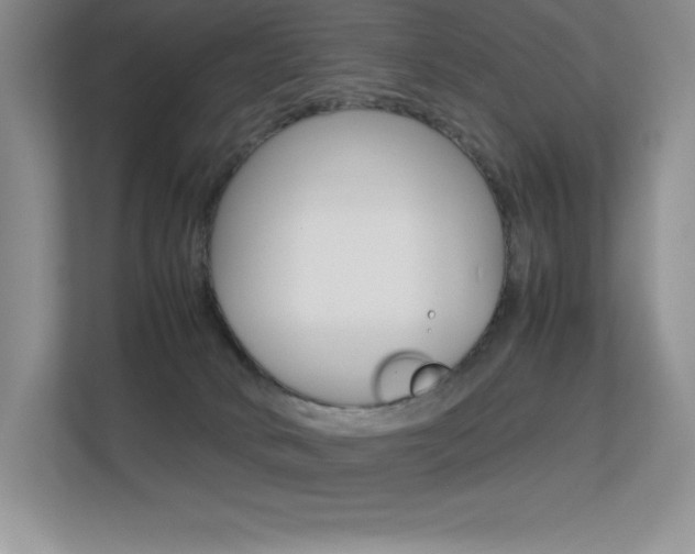 X0000113330034200909141016