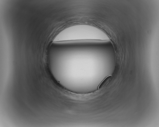 X0000113330035200909141016
