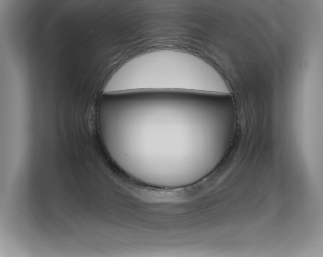 X0000113330036200909141016