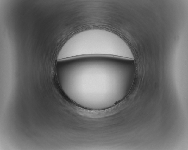 X0000113330039200909141016