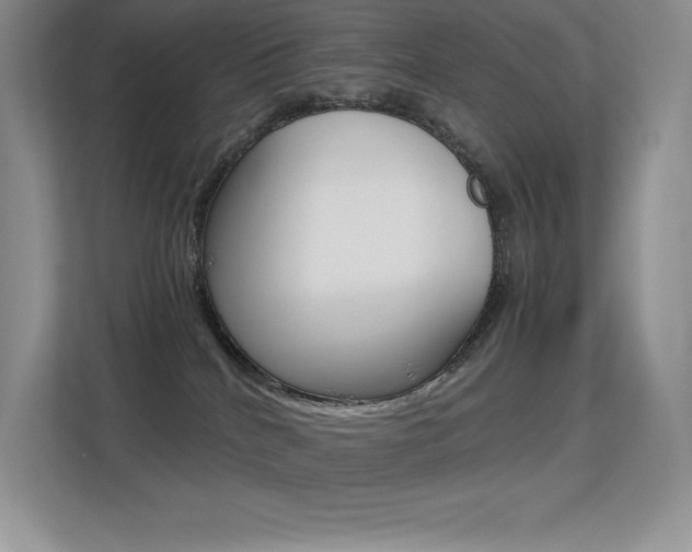 X0000113330040200909141016