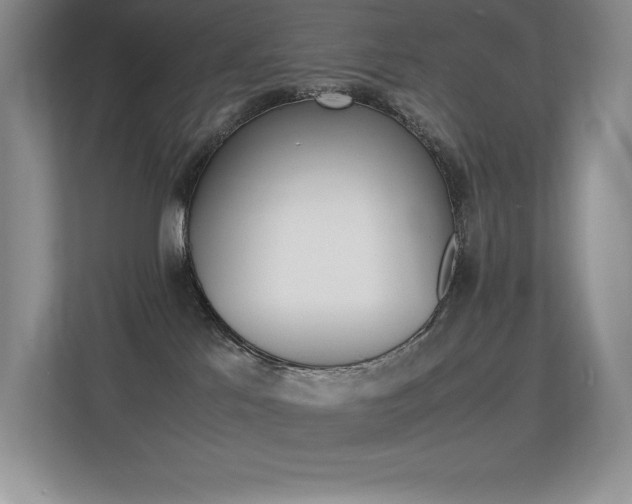 X0000113330041200909141016