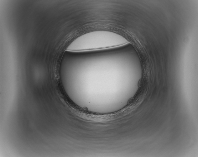 X0000113330044200909141016