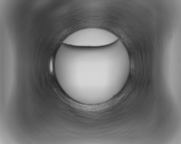 X0000113330046200909141016