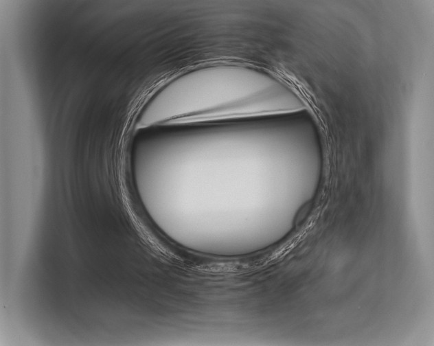 X0000113330049200909141015