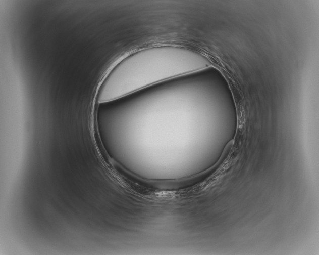 X0000113330052200909141015